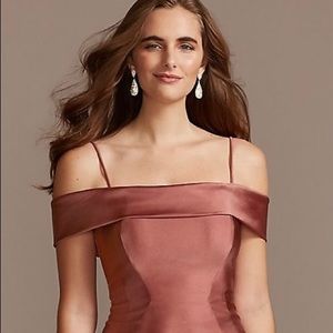 David’s Bridal Bridesmaid Dress